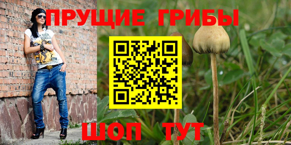 Галлюциногенные грибы GOLDEN TEACHER Лесной