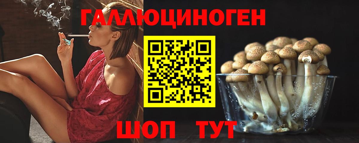 купить закладку  Галлюциногенные грибы Cubensis  Вход с VPN  Лесной 