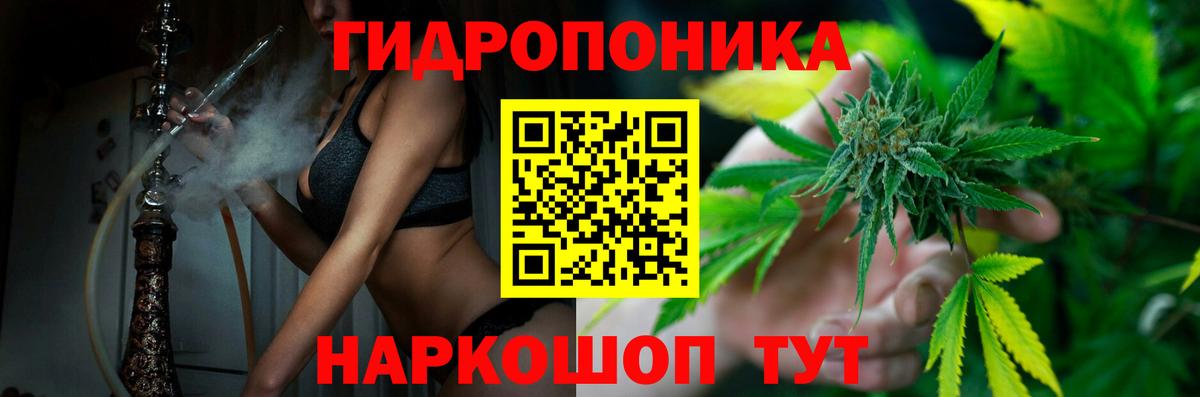 Бошки Шишки Ganja  Бошки марихуана семена  Конопля тримм  Вход с VPN  Канабис семена  Лесной 